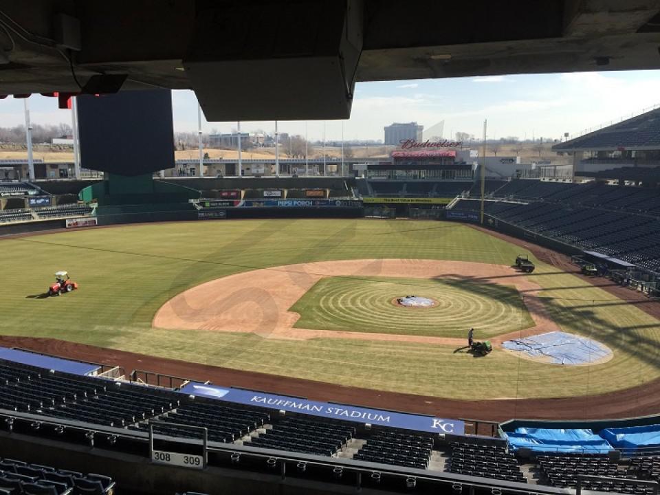 Royals Seating Chart Dugout Plaza